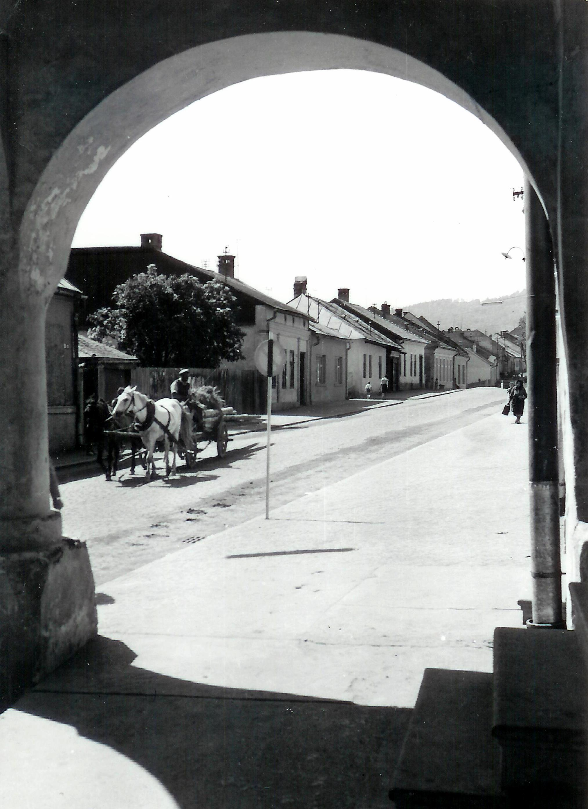 rhodyho_1_old